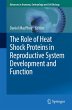 The Role of Heat Shock Proteins in... - Bild 1