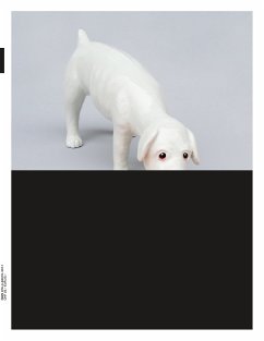 Cover trans 30. Farbe