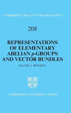 Representations of Elementary Abelian p-Groups and Vector Bundles - Benson, David J.
