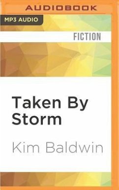 Taken by Storm - Baldwin, Kim