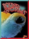 Round-Worms