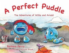A Perfect Puddle - Perry, Barbara