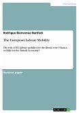 The European Labour Mobility (eBook, PDF)