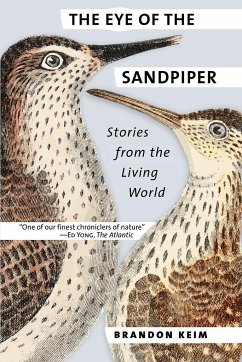 The Eye of the Sandpiper - Keim, Brandon