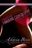 Mirror Geography (eBook, ePUB) Mirror Geography (eBook, ePUB)