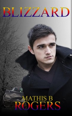 Cover Blizzard (eBook, ePUB)