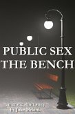 Public Sex - the Bench (eBook, ePUB)