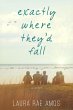 Exactly Where They'd Fall (eBook, ePUB) - Bild 1