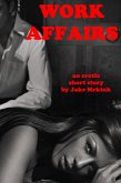 Work Affairs vol 1 (eBook, ePUB)