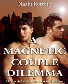 A Magnetic Couple Dilemma (Unfinished Liaisons, #1) (eBook, ePUB)