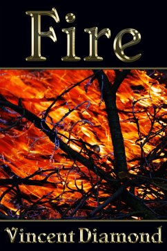 Cover Fire (eBook, ePUB)