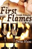 Fireside Romance Book 1: First Flames (eBook, ePUB)