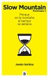 Slow Mountain (eBook, ePUB) - Bild 1