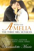 Amelia (The Three Mrs. Monroes, #1) (eBook, ePUB) Amelia (The Three Mrs. Monroes, #1) (eBook, ePUB)