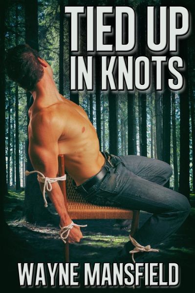Tied Up In Knots (eBook, ePUB)