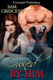 Owned by Him (eBook, ePUB)