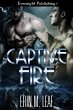 Captive Fire (eBook, ePUB) - Bild 1