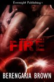 Fire (eBook, ePUB)