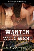 Wanton in the Wild West (eBook, ePUB)