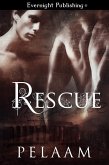Rescue (eBook, ePUB)