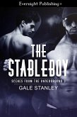 The Stableboy (eBook, ePUB)