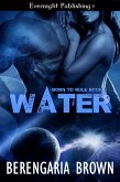 Water (eBook, ePUB)