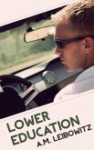 Lower Education (eBook, ePUB) Lower Education (eBook, ePUB)