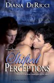 Shifted Perceptions (eBook, ePUB)