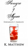 Enemigos y Amigos (eBook, ePUB)