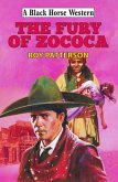 Fury of Zococa (eBook, ePUB)