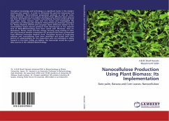 Nanocellulose Production Using Plant Biomass: Its Implementation