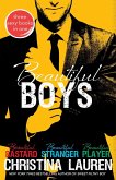 Beautiful Boys (eBook, ePUB)