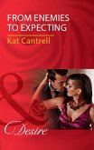 From Enemies To Expecting (Mills & Boon Desire) (Love and Lipstick, Book 4) (eBook, ePUB)