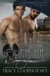 Pay The Ferryman (Stonebrood Saga,... - Bild 1