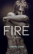 Fire (eBook, ePUB) - Bild 1
