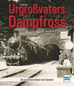 Urgroßvaters Dampfross - Reiners, Jan