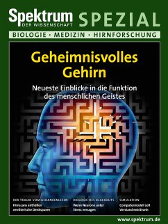 Geheimnisvolles Gehirn (eBook, ePUB)