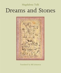 Dreams and Stones (eBook, ePUB) - Tulli, Magdalena