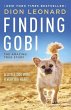 Finding Gobi - Bild 1