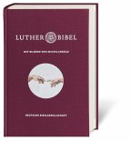 Lutherbibel mit Bildern von Michelangelo Lutherbibel mit Bildern von Michelangelo