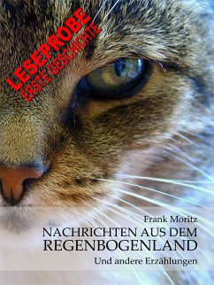 Nachrichten aus dem Regenbogenland (eBook, ePUB) - Moritz, Frank