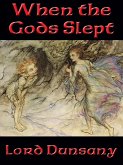 When the Gods Slept (eBook, ePUB)