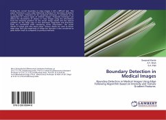 Boundary Detection in Medical Images