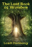 The Last Book of Wonder (eBook, ePUB)