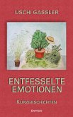 Entfesselte Emotionen (eBook, ePUB)
