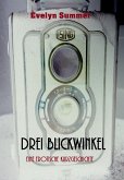 Drei Blickwinkel (eBook, ePUB)