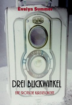 Drei Blickwinkel (eBook, ePUB) - Summer, Evelyn