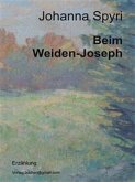 Der Weiden-Joseph (eBook, ePUB)