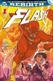 Die Flash-Akademie / Flash 2. Serie Bd.1