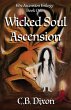 Wicked Soul Ascension - Bild 1